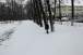 resIMG_20111214_0798.JPG